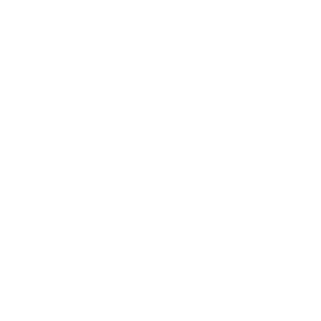 security icon